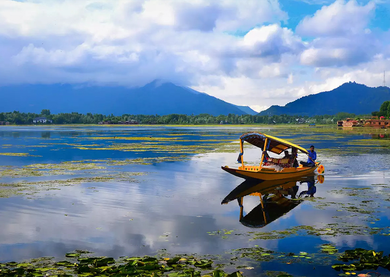 Discover Brazil